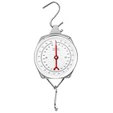 QWORK® hängewaage, kofferwaage mit haken, Grau, 200 kg