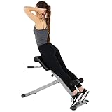 Sunny Health & Fitness 45 Grad Hyperextension Roman Chair
