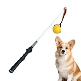 ETUCYNG Robuster Spielstock für Hunde, strapazierfähiger Spazierstock zum Fangen von Spielzeug, interaktives - und Übungsspiel für Welpen, Trainingsstock für den Garten im Freien