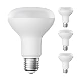 ledscom.de 4 Stück E27 LED Leuchtmittel, R80, warmweiß (2700 K), 10 W, 935lm, matt