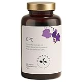 Kurkraft Premium OPC Kapseln (240 Stück) - 1100mg Traubenkernextrakt mit 770mg OPC je Tagesdosis (HPLC) - französische Weintrauben - Vegan - ohne Zusatzstoffe - Deutsche Produktion