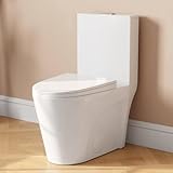DeerValley Toilette, längliche, einteilige Toilette für Badezimmer, bequeme Stuhlsitzhöhe 43,2 cm, Dual-Power-Spül-WC 1,1/1,6 GPF und MAP 900 g, 30,5 cm grobe WC-Schüssel