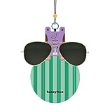 Brillentücher – Sonnenbrillen-Clip mit Tier-Design und Umhängeband – Kameraobjektivzubehör für Spaziergänge am Computer, Geburtstag, Schwimmen, Radfahren, für den Außenbereich