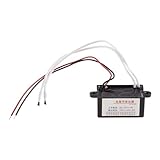 jdstty 12 V Hochleistungs-Ionisator-Ionisator-Anionen-Generator