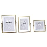 HOMOCONO 3St Bilderrahmen aus Eisen living room home decor bügelständer trauzeugengeschenke Fotogeschenk Exemplar mit Rahmen stehender Bilderrahmen Pflanzen Musterrahmen Glas Golden