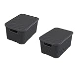 BranQ - Home essential Deckel Korb in Rattan Design 2er Set Grösse M 10l, Kunststoff PP, Anthrazit, 10 l
