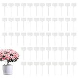 Pflanzenname Stakes, Pflanzenname Tags,100-mal wasserdichte T-Typ-Saatling-Kindergarten-Marker-Zeichen | Beschreibbare Garteneinsätze, Pflanzenschilds für Gewächshäuser, Rasen, Terrasse, Gartenprojekt