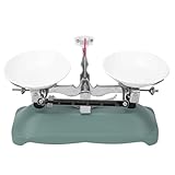 JXYQ Waagschale, 100 g oder 500 g Doppelschalenwaage mit verschiedenen Gewichten, Schale und Pinzette, mechanische Schalenwaage mit hoher Kalibriergenauigkeit für Laborphysik-Experimente (100 g)