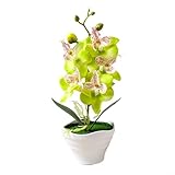 Bulevisiter Künstliche Seidenphalaenopsis-Orchidee, Bonsai, Topfpflanze, Blumendekor für Zuhause und Büro, mit 27 cm Höhe und 12 cm Durchmesser für Weihnachten, Valentinstag und (A)