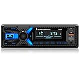 RDS Autoradio Bluetooth mit Typ-C-Ladeanschluss, Wistrue FM/AM Autoradio 1DIN Unterstützt 2USB/AUX/SD/TF/EQ/DSP/MP3 Player