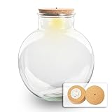 urbanjngl.com - Terrarium mit Lampe - Geschlossenes Terrarium ↑ 30 cm