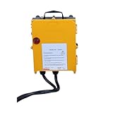 F24-60 5-Gang-Doppelstrahlkran, Brückenkran, Turmkran, kabellose industrielle Fernbedienung (Einzelempfänger, 310–331 MHz, 36 V)