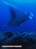 Underwater Wonders