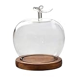 Glaskuppel – Dekor in Obstform | Transparente Apfelform Desktop-Ornament-Display | Schutzbasis, Präsentations-Akzent-Sammler, Heimbüro, Hochzeitstisch