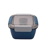 DINESA Lunchbox aus Kunststoff mit Gabel, Saucenbox, Picknickbox für Mikrowelle, Salat, Obstkonservierung - C