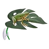 Siuwddee Reptilien Deko | Künstliche Blätter - Zubehör Für Terrarien Amphibien Dekoration Für Wohnzimmer Nachttische Gastronomie Eingangsbereich Garten