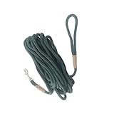 Hundeleine 2m 3m 5m 10m Leash Tracking Line Strapazierfähiges Welpenseil für kleine mittelgroße Hunde Schleppleine für Hunde(Green,M dima 0.9 10 M)