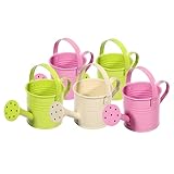 Metall-Gießkanne, 5 Stück, einfache Kinder-Gießkanne, Kinder-Garten-Bewässerungseimer, Eisen-Gießkanne, Gießkanne, Wasserkocher für Gartenpflanzen, Blumen, 15 x 7,5 x 7,5 cm (gemischte Farben)