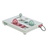 TRIXIE interaktives Katzenspielzeug Cat Activity Brain Mover, Intelligenzspielzeug für Katzen, Strategie-Spiel zur geistigen Förderung & spielerischem Lernen, 25x20 cm, tierschutzkonform - 4596
