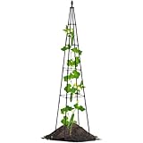 Zwpontia Pflanzen-Rankgitter für den Innenbereich, Rankgitter für Kletterpflanzen im Innenbereich, Gemüseblumen-Rankenstütze für Zimmerpflanzen, Rasen, Garten, Terrasse, Außenbereich