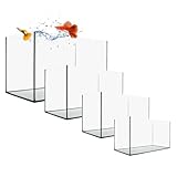 GarPet Aquarium Becken 30x20x20 cm 12 L rechteckig Glas Aquariumbecken Garnelenaquarium Mini Aquarium Salzwasseraquarium Nanobecken, Fisch