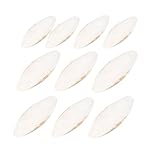 Tintenfischknochen - Kauspielzeug mit Tintenknochen 10 Stück | Tintenfischknochen in Premium-Qualität | Kauspielzeug und Tintenfischknochen mit Schneckenschnabel, Tintenfisch