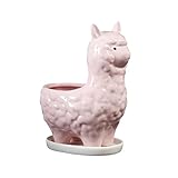 Levemolo 1Stk Blumentopf wohnzimmerdeko Garden Decoration Keramik übertopf gartendeko rostoptik Sukkulente Pflanzschale Sukkulenten Pflanzen Sukkulente eingetopft Keramikbecken Rosa