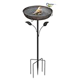 WELDUN Vogeltränke Vogelbad 26CM, Futter Schale Stehend für Draußen Garten, Metall Vogelbecken Wassertränke für Wildvögel, Vogeltränke Winterfest Futter Wasserschale