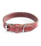 Hundehalsband aus Leder – Robustes & Elegantes Lederhalsband – Hunde Halsband für kleine & große Hunde Tom rot (M (31-40cm))
