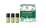 PRIMAVERA ätherische Öle Set Duftende Waldkraft - Geschenkbox 3 x 5 ml Zirbelkiefer, Zeder, Fichtennadel - Aromaöl, Duftöl, Aromatherapie, Geschenke - vegan