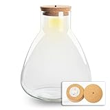 urbanjngl.com - Terrarium mit Led Licht Kork - Sam Led - Geschlossenes Terrarium ↑ 30 cm