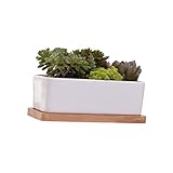 POPETPOP 2 Stück Kreativer Blumentopf Mit Tablett Ideal Für Sukkulenten Und Künstliche Pflanzen Moderner Übertopf Perfekt Für Zuhause Und Balkon Vielseitig Einsetzbar
