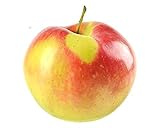 Malus Domestica 'Elstar' Apfelbaum Halbstamm 100-120 cm - Topfgewachsener Apfelbaum für Garten & Balkon - Süße, saftige Äpfel - Ideal für Ernte im Herbst - Robust & Pflegeleicht