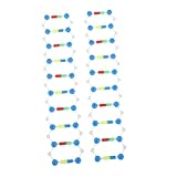 UPKOCH 2st DNA-Modell Doppelhelix-strukturmodelle Molekularer Modellbausatz DNA-testkit Für Vaterschaft Biologieunterrichtsmaterialien Biologiemodelle Anstery-DNA-kit Lehrmittel Plastik