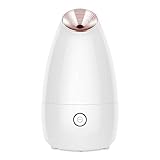 Gesichtsnebel-Sprüher, Nano-Gesichtsfeuchtigkeits-Sprühnebel, Hautpflege-Dampf-Dampf-Inhalator, Spa, goldfarben