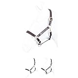 Marengos - Lederhalfter Robust – Halfter für Pferde – Pferdehalfter mit extra gepolstertem Nasenriemen & Genickstück – Messingbeschläge – mehrfach verstellbar – in Braun – Pony