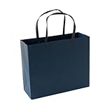 Baluue 5 Stück pack Papierhandtaschen Blau 20x20x8cm Leichte Geschenktüten mit Griff Modische Aufbewahrungsbeutel für Party und Geschäft Kreative Geschenkbeutel für Kleidung