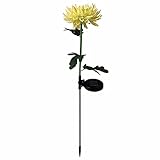 JIAMEI 2 stücke LED Solarlicht Künstliche Chrysantheme Simulation Blume Outdoor wasserdichte Garten Rasen Pfähle Lampen Yard Art für Zuhause Innenhof Dekoration (Color : D)