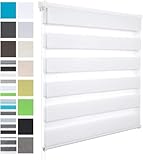 WOLTU Doppelrollo Klemmfix ohne Bohren Weiß B120 x H120 cm, Duo Rollo Zebrarollo Fensterrollo Klemmrollo Seitenzugrollo Easyfix lichtdurchlässig & verdunkelnd Rollos für Fenster und Tür