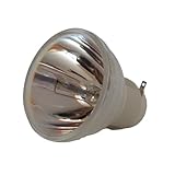 BNEAIGHW Projektionsglühbirne KOMPATIBLE SP-087 SPLAMP 087 Lampe/Birne for INFOCUSIN2126A IN2126A Bühnenlicht