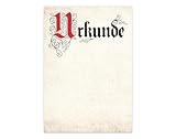 TypeStoff Urkunde Blanko in Elefantenhaut-Optik für Gelegenheiten wie Auszeichnung, Belobigung, Ehrung, Anerkennung und Jubiläum im Privatbereich, im Beruf oder im Verein (5 Stück) - MP-00681-05