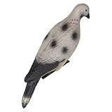 Zielscheibe für Schießtiere - Eva 3D Bird Eva | realistische Praxis zum Üben für das Schnurschießspiel und Schleuder Trainingsmodell im Freien