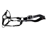 Cwell Equine Deluxe Hybrid-Halfter aus Leder und Seil, gepolstert, Full/Cob/Pony (Schwarz COB)