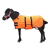 Pferdedecke für Pony/Fohlen, winddicht, 300 Denier, Winterdecke mit 150 g Füllung, Orange, Größe M