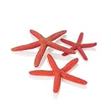 biOrb 48356 Seestern Set 3 rot – Aquarien-Dekoration in Seestern-Form, naturnahe Ornamente, für alle biOrb Modelle