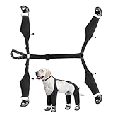 Wasserdichte Hundeschuhe mit Riemen, wasserdicht, verstellbar, Pfotenschutz für Welpen, Schuhe für Hunde mit Riemen, für Spaziergänge und Reisen im Freien