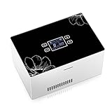 SZSXYBZ Mini-Kühlschränke, Medikamentenkühlschrank und Insulinkühler, große Kapazität, Medikamente, konstante Temperatur, tragbarer Auto-Kühlkoffer/kleine Reisebox für Medikamente
