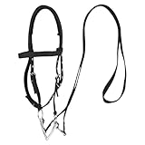 Pferdetrainingszaumzeug, verstellbares Pferdehalfter, Mit 3 verstellbaren, verdickte, plattierte Halfter für das Training, Trensengurt mit Halsriegel zur Reduzierung der Reibung für Reitspor