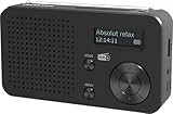TELESTAR TOP 100 – Mobiles DAB+/UKW Radio (austauschbarer Akku, bis zu 15 Std. Spielzeit, kurzes Ladezeit, Bluetooth 5.4, USB-Mediaplayer) – Schwarz