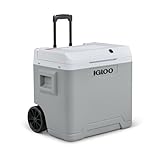 IGLOO IE42 AC/DC elektrische Kühlbox mit Telekop-Griff und Rollen, 42 Liter, Mini-Kühlschrank für Auto und Steckdose, 12V und 230V, grau